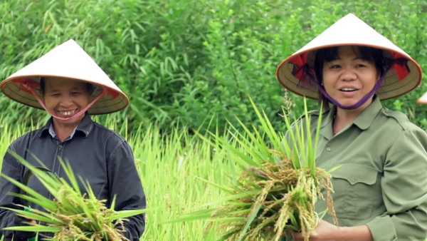 Phụ nữ Tân Sơn phát triển cây, con đặc sản nâng cao hiệu quả kinh tế